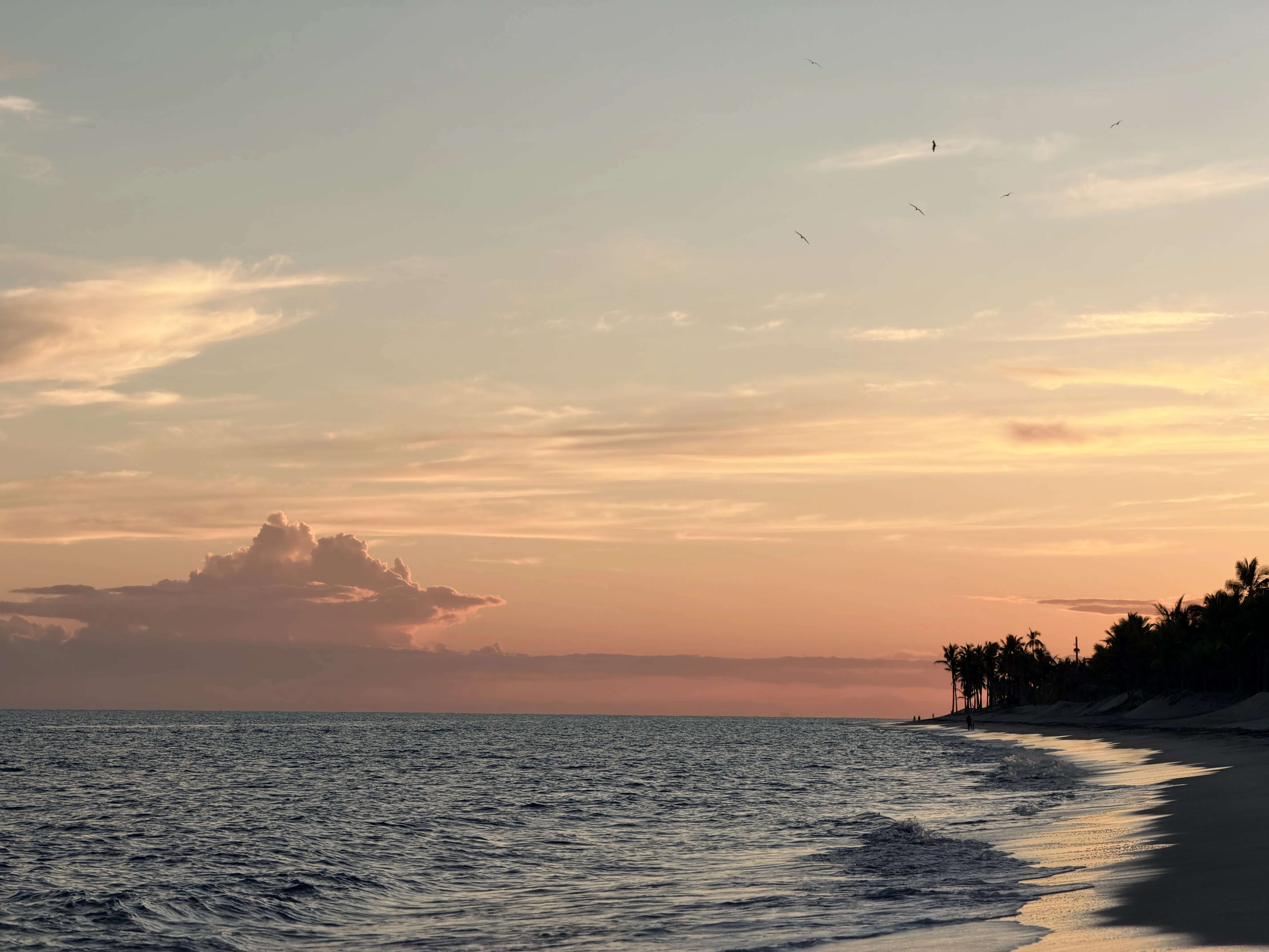 Buenaventura Golf & Beach Resort