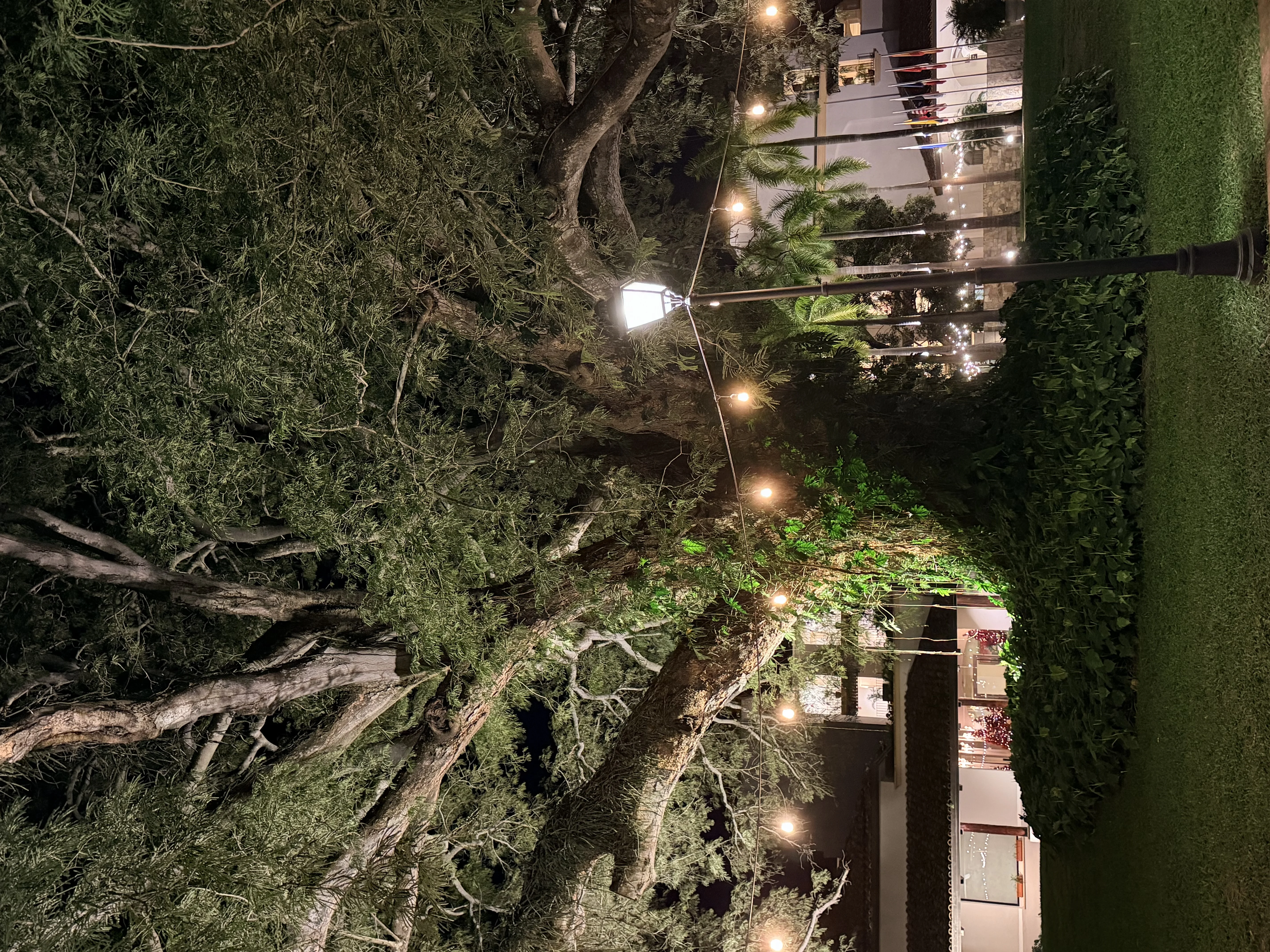 Hotel Buenaventura - 2