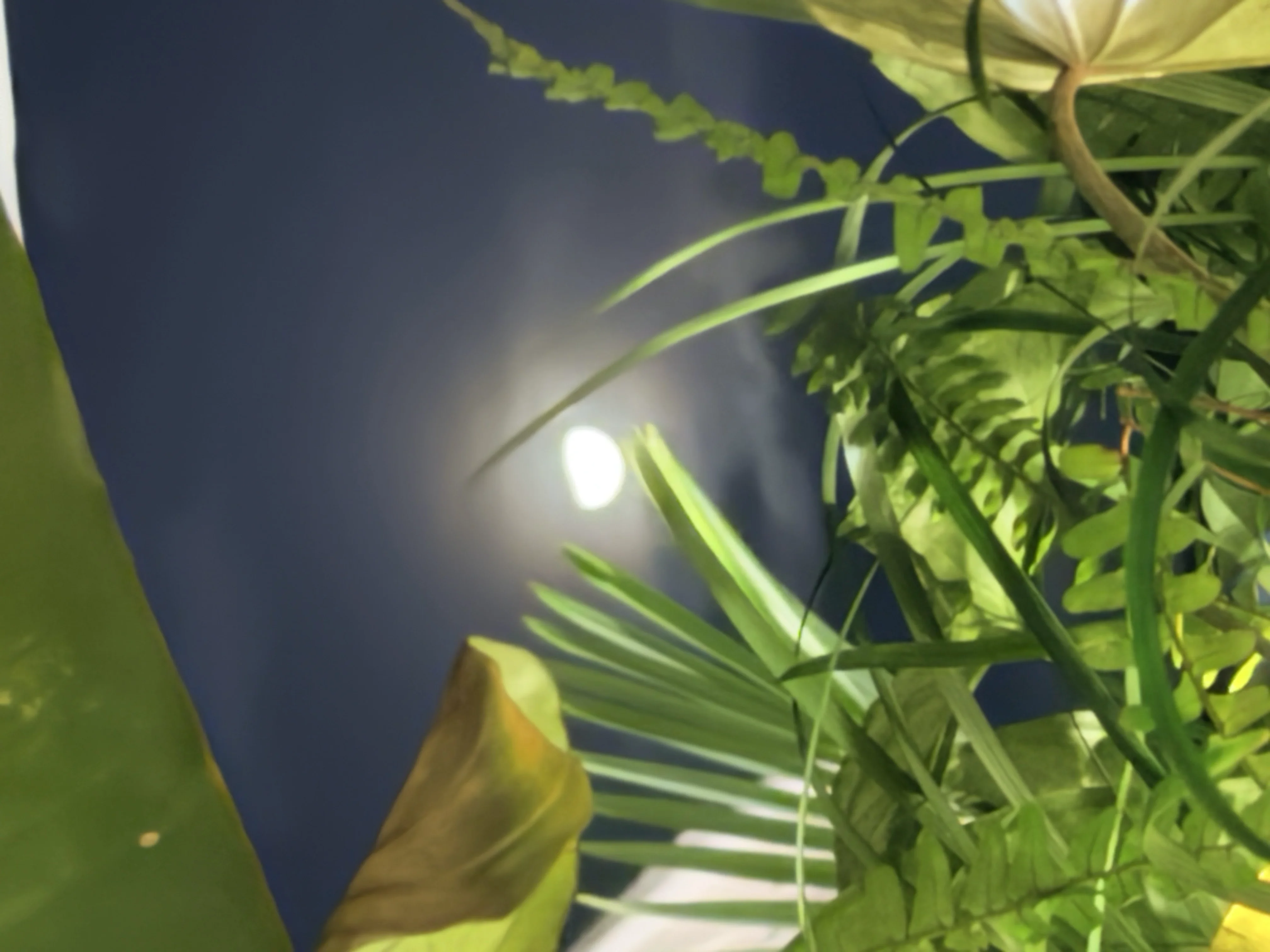 The Day Joe Died - 14