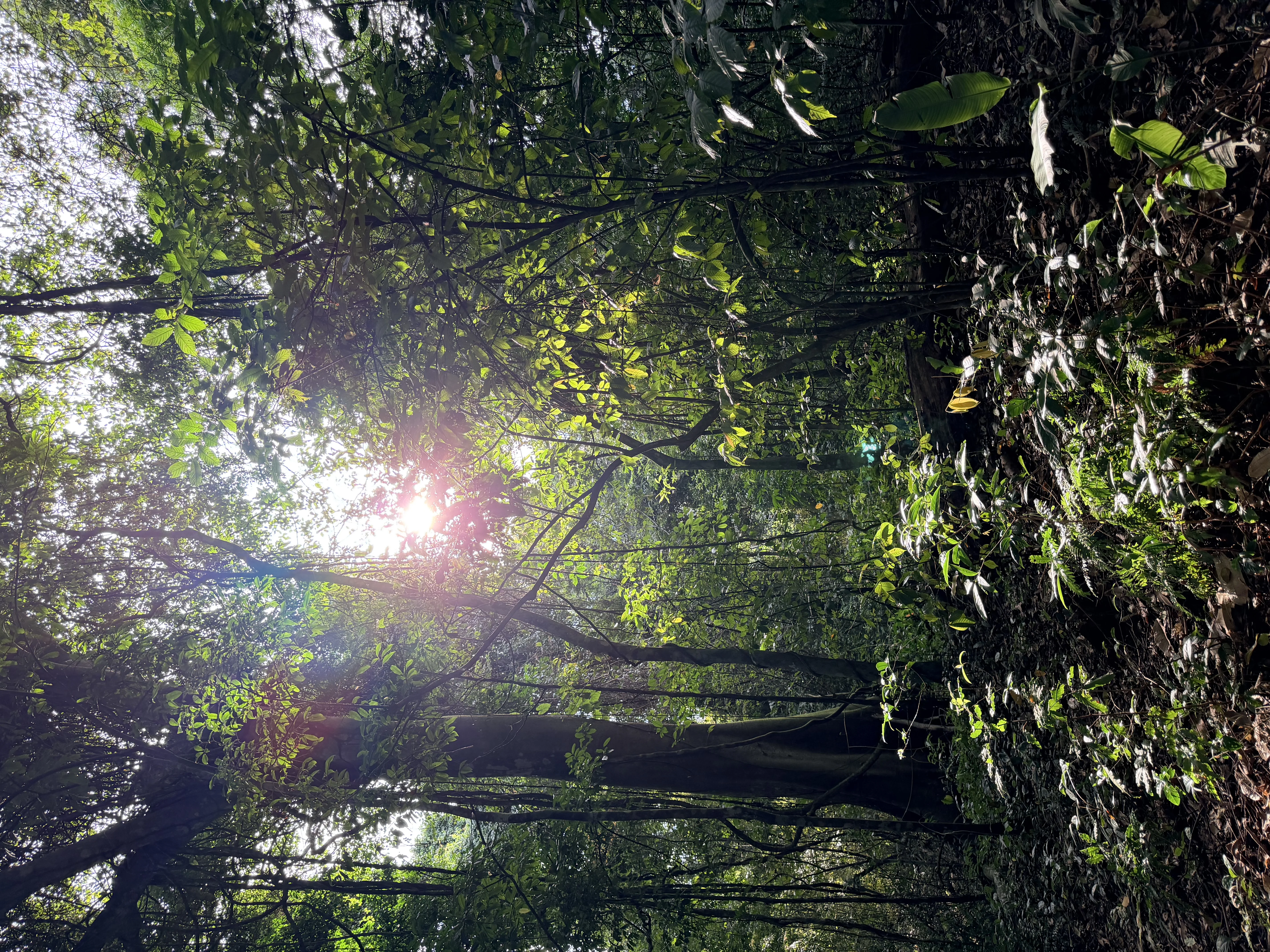 Parque Natural Metropolitano - 6