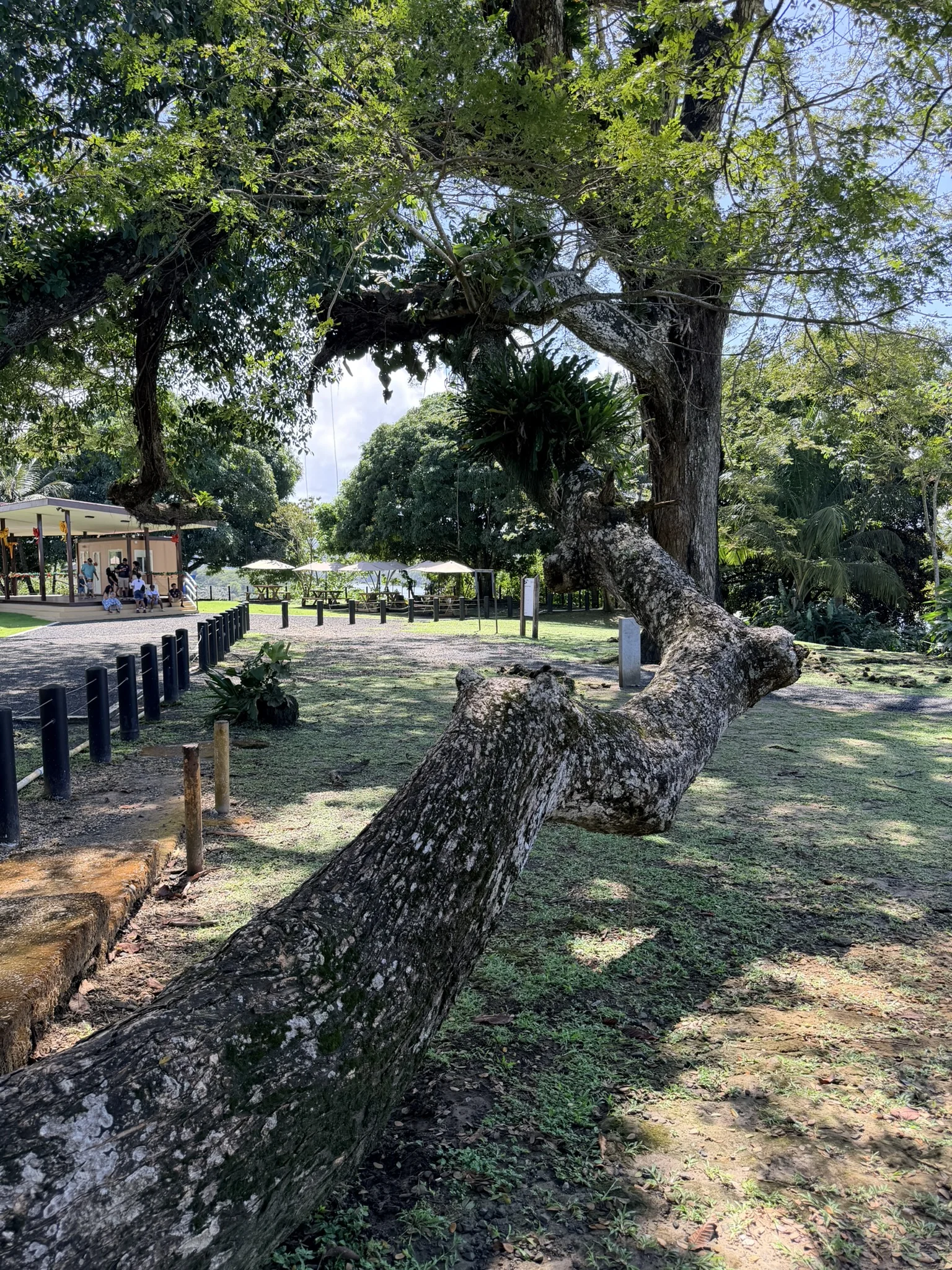 Fuerte San Lorenzo - 13