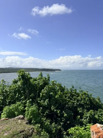 Fuerte San Lorenzo - 16