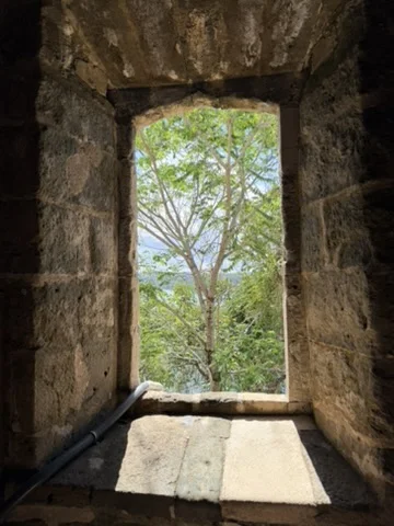 Fuerte San Lorenzo - 6