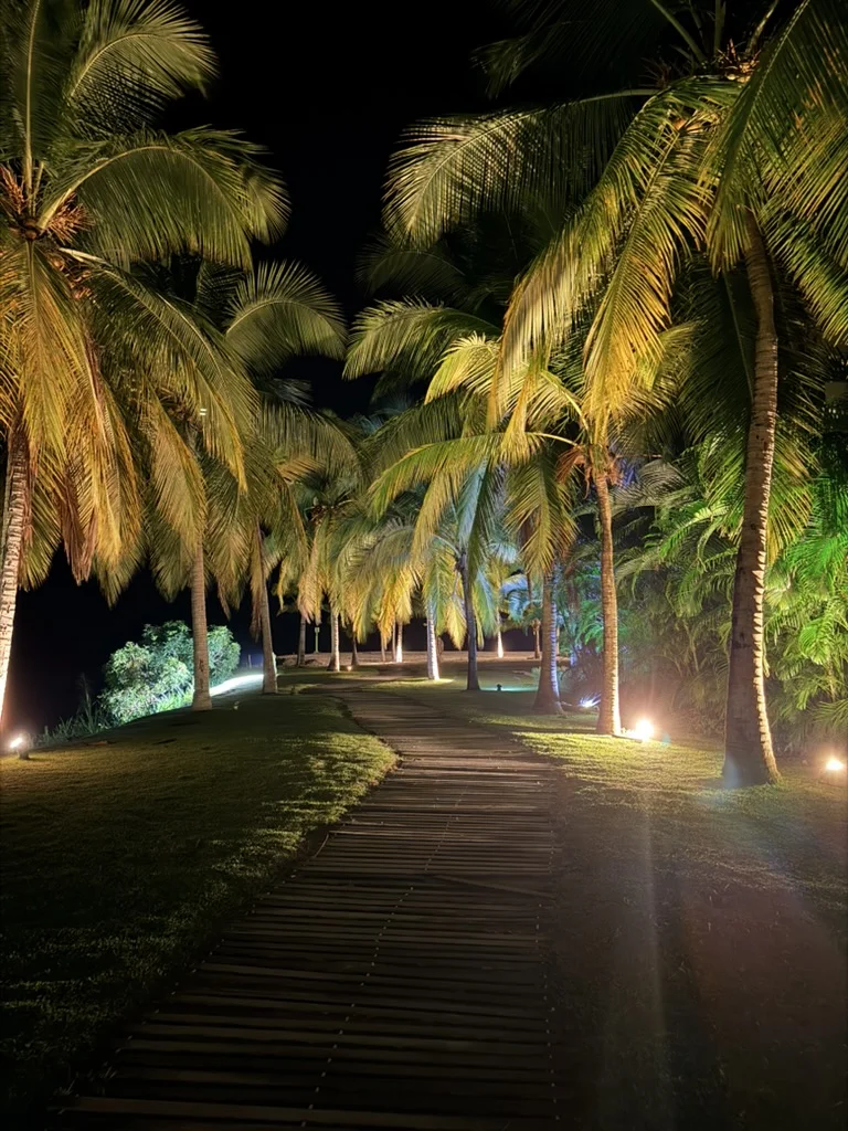 Wooden walkway through manicured grass and coconut palms at night. Warm lighting illuminates the path and trees.